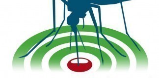 Muggenradar, waar heb je last van muggen? muggenradar