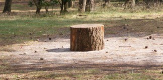 Stichting De Groene Koepel