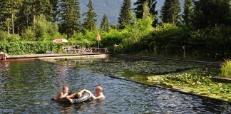 Alpenferienpark Reisach in Karinthië Natuurbad