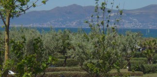 Camping las Dunas aan de baai las Dunas