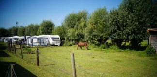 Camping Zonnehoeve tussen zee en stad Camping Zonnehoeve