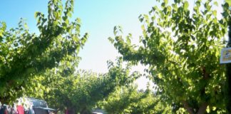 Camping Senia Tucan Costa Brava Camping Senia Tucan