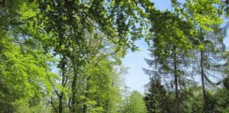 Camping Park Beaufort een prachtige plek Camping Plage