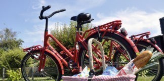 Camping Sollasi tussen de bollenvelden Camping Sollasi