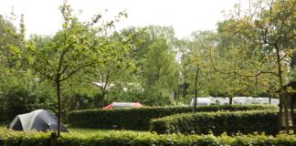 Camping Memling bij het prachtige Brugge Camping Memling