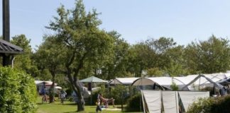 Camping Ginsterveld middenin de natuur Camping Ginsterveld