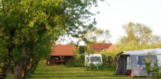 Camping De Pit kamperen tussen vijftig jaar oude fruitbomen Camping De Pit