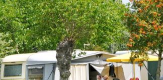 Camping Ter Duinen met moderne faciliteiten Camping Ter Duinen