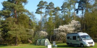 Camping Twilhaar midden in het bos Camping Twilhaar