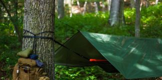 Staatsbosbeheer stopt met paalkampeerterreinen Staatsbosbeheer Paalkamperen