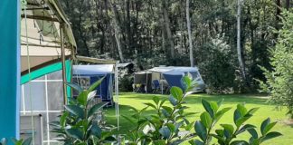 Camping De Hippe Kip in het buitengebied van Beltrum De Hippe Kip