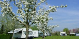 Campingpark Zennewijnen aan de Waal Campingpark Zennewijnen