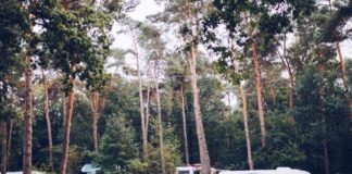 Camping en bungalowpark in de Rimboe bij Ermelo in de Rimboe