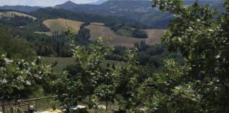 Camping Pronto Campi bij het prachtige Urbino in De Marken Camping Pronto Campi