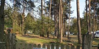 Camping ’t Witte Zand in het hart van het Oosten Camping ‘t Witte Zand
