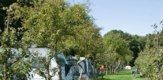 Boomgaardcamping DuinRand genieten van de stilte Boomgaardcamping DuinRand