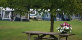 Minicamping Nieuw Beekdal om helemaal bij te tanken MiniCamping Nieuw Beekdal