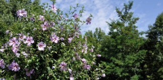 Camping le Vaugrais aan de poorten van de Savoie