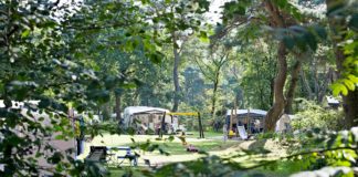 Camping de Beerze Bulten met gave binnen- en buitenfaciliteiten