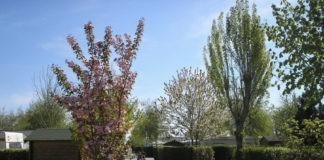 Camping Le Champ Neuf voor luxe, rust, het platteland en de zee. Camping Le Champ Neuf