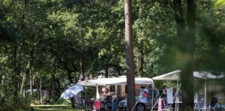 Familiecamping De Vossenburcht in Overijssel