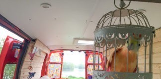 Bus & Zo een onvergetelijke beleving