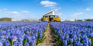 Reizen met de camper goed is voor je mentale weerbaarheid? Reizen met de camper goed is voor je mentale weerbaarheid?