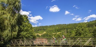 Ontdek de pracht van het Noordelijke Zwarte Woud