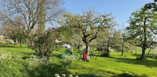 Natuurkampeerterrein de Oude Boomgaard in rustieke omgeving Natuurkampeerterrein de Oude Boomgaard in rustieke omgeving