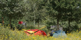 Een nieuw jasje voor Natuurkampeerterreinen Een nieuw jasje voor de Natuurkampeerterreinen!