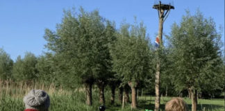 BlueWoods – blauw kamperen in het groene Woud BlueWoods - blauw kamperen in het groene Woud