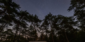 De beste kampeerplekken in Nederland om de meteorietenregen te bewonderen De beste kampeerplekken in Nederland om de meteorietenregen te bewonderen