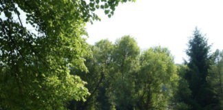 Forrás Camping, wordt dit jouw nieuwe vakantie bestemming? Forrás Camping, wordt dit jouw nieuwe vakantie bestemming?