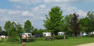 Minicamping de Ganzenhof heeft een creatief tintje Minicamping de Ganzenhof heeft een creatief tintje