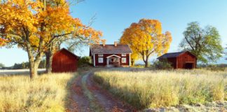In Zweden is de herfst begonnen Zweden is hot, we brengen je een stukje dichterbij