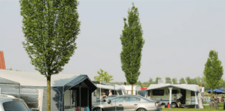 Camping Quendorf in de schilderachtige omgeving van Schüttorf Camping Quendorf in de schilderachtige omgeving van Schüttorf