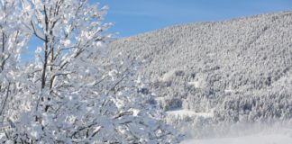 Dit zijn de plekken waar je de komende winter moet zijn