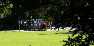 Kampeerboerderij en groepsaccommodatie De Harmsdobbe Kampeerboerderij en groepsaccommodatie De Harmsdobbe