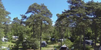 Camping Diever in de prachtige Drentse bossen Camping Diever in de prachtige Drentse bossen