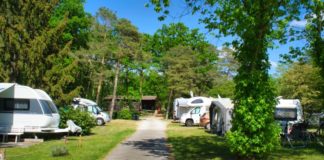 Camping Aller Leine Tal in een bosrijke omgeving