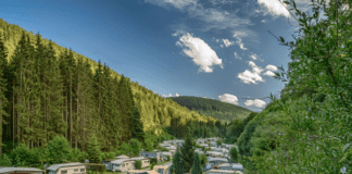 Camping Kleinenzhof midden in het Zwarte Woud Camping Kleinenzhof midden in het Zwarte Woud