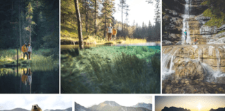 Flora- en faunawandelingen in de Tiroler Zugspitz Arena Flora- en faunawandelingen in de Tiroler Zugspitz Arena