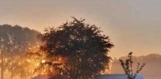 Minicamping de Appelboom in Gelderland Minicamping de Appelboom in Gelderland