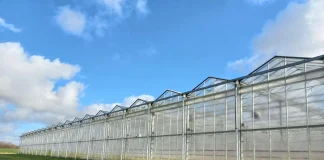 Op zoek naar een stalling? Sinds begin April 2022 heeft Stalling Prinsenbeek de deuren geopend.