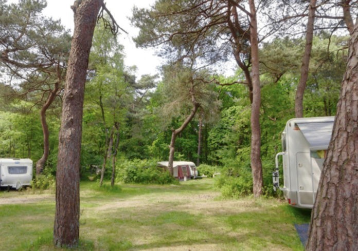 Camping Zonnehoek in de bosrijke omgeving van Hilversum