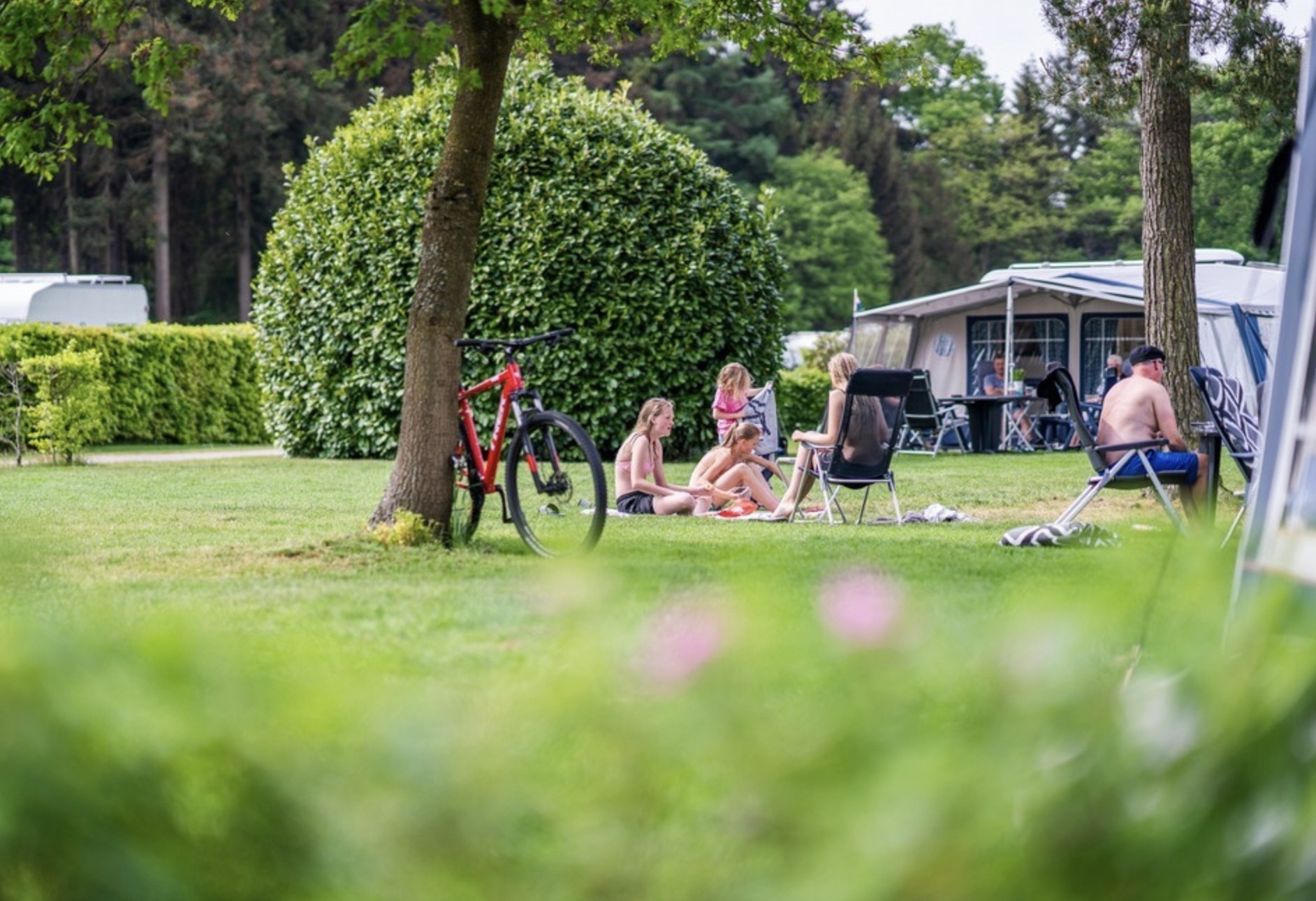 Camping de Hondsrug in Drenthe KampeerMagazine