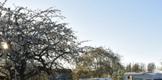 Camping De Bonenkamp omringd door landerijen Camping De Bonenkamp omringd door landerijen