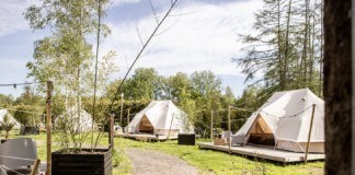 Landgoed Lindehof bij de uitgestrekte Drentse heidevelden en bossen Landgoed Lindehof bij de uitgestrekte Drentse heidevelden en bossen