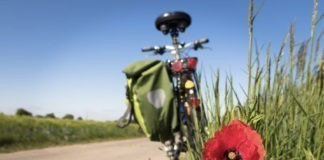 Nieuw op Holland.com – Alles over de Nederlandse fietscultuur Nieuw op Holland.com - Alles over de Nederlandse fietscultuur