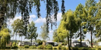 Camping Papillon Kinrooi in een bosrijke omgeving Camping Papillon Kinrooi in een bosrijke omgeving